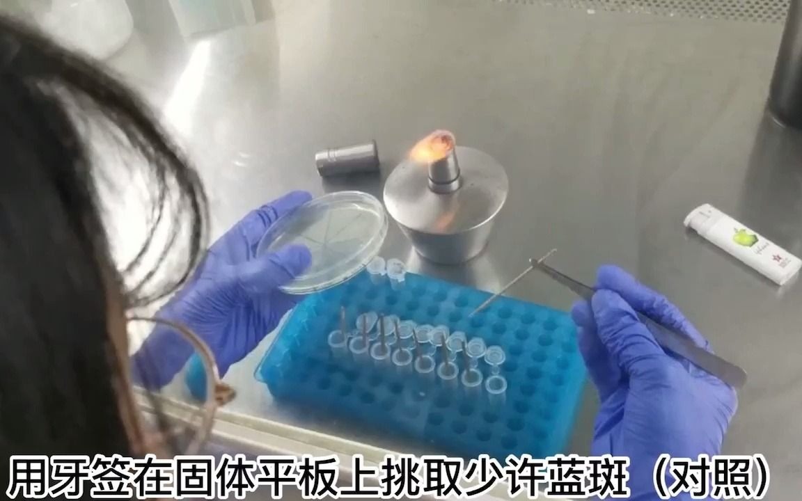 基于原核微生物16S rDNA高可变区V4的基因文库构建与测序哔哩哔哩bilibili