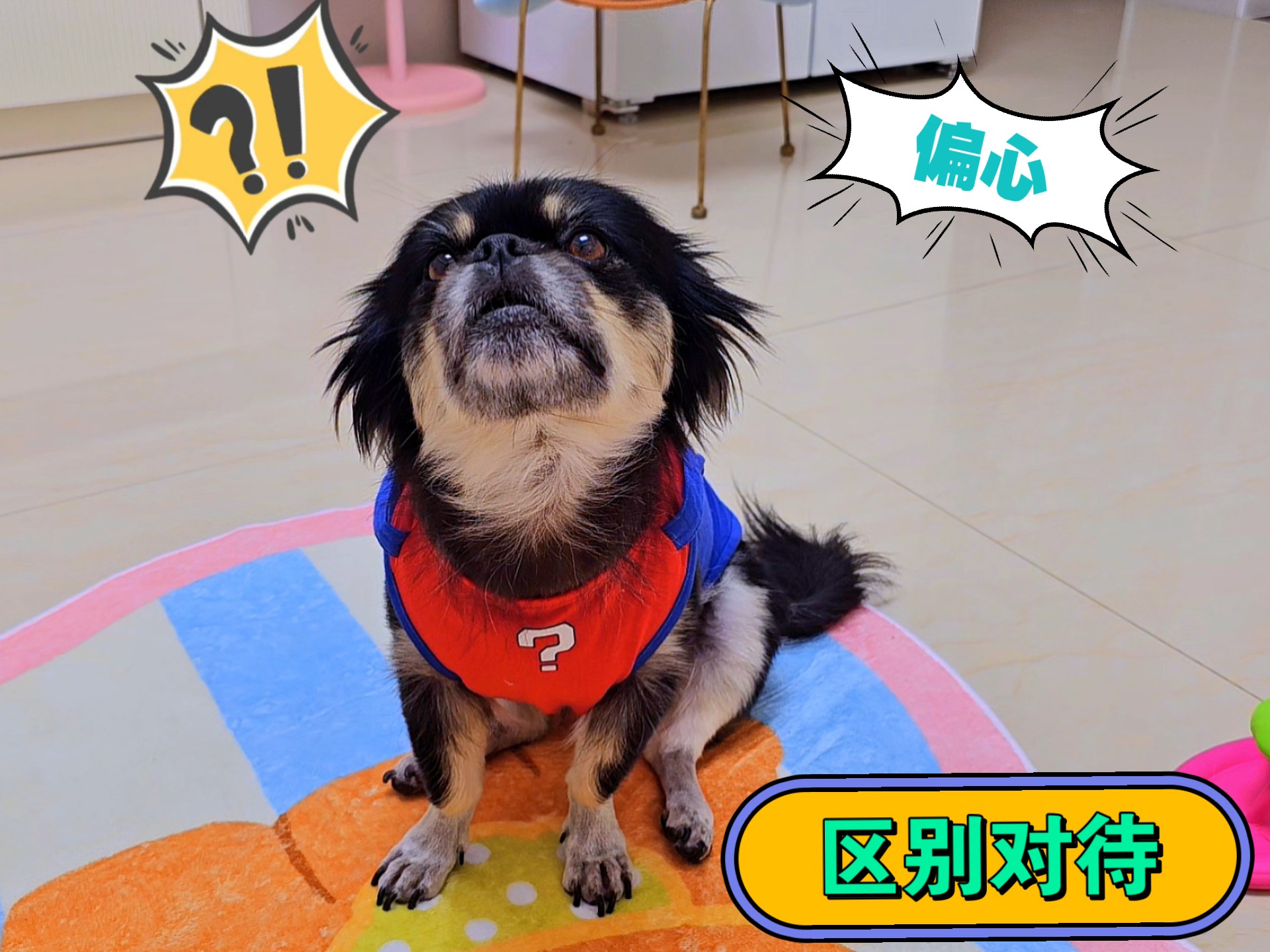 狗狗感觉被区别对待了