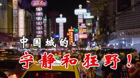 曼谷中国城老华人做的炖品 材料好辣眼 一早就当早餐吃 哔哩哔哩 Bilibili