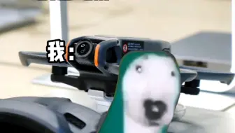 搞点动静