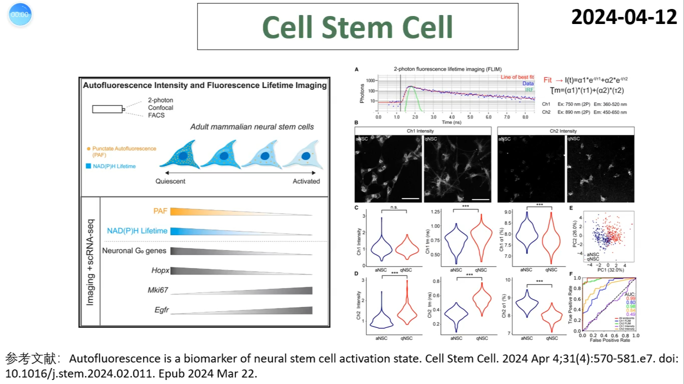 Cell Stem Cell—神经干细胞研究重磅:自发荧光是神经干细胞激活态和静息态的鉴别影像标记物哔哩哔哩bilibili