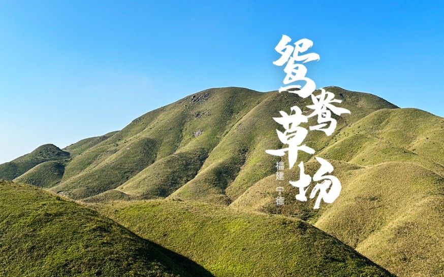 福建宁德—柘荣鸳鸯草场
