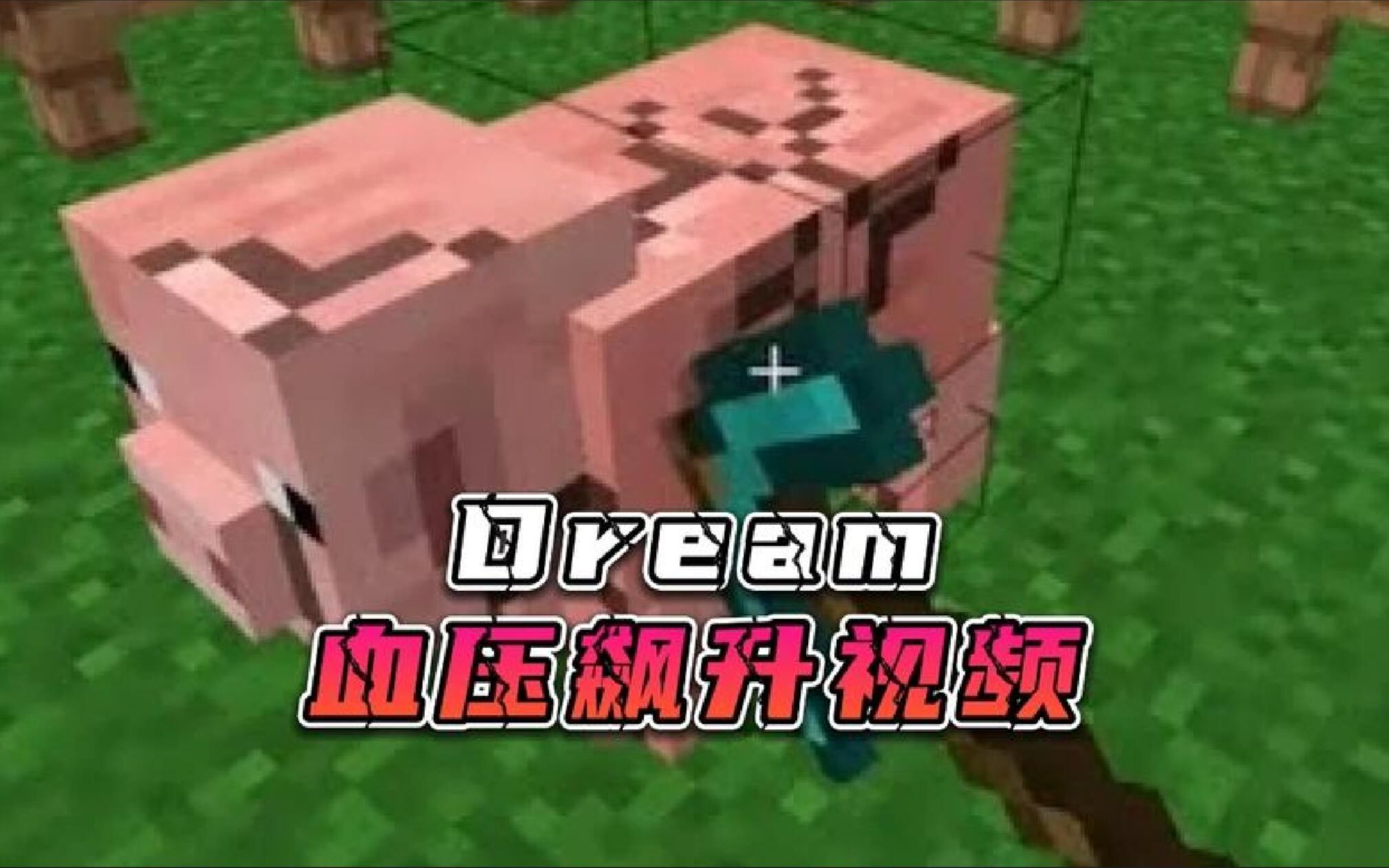 这是dream早期的一条视频,内容让人血压飙升!!哔哩哔哩bilibili