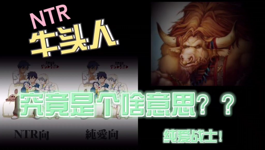 【牛头人NTR】是什么意思?哔哩哔哩bilibili