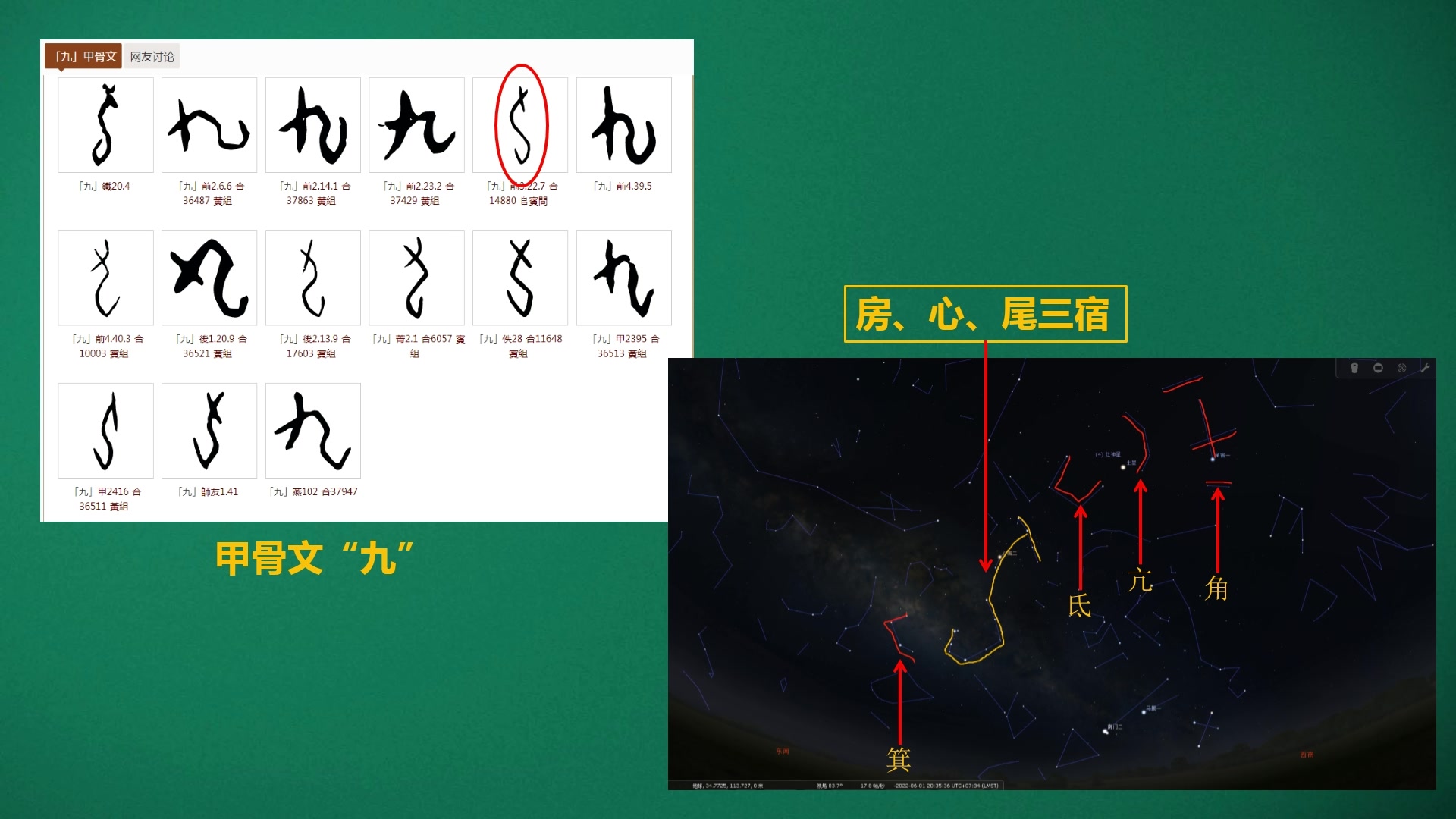 中国龙起源于数字九;乾坤的本质;《易经》是用甲骨文写的哔哩哔哩bilibili