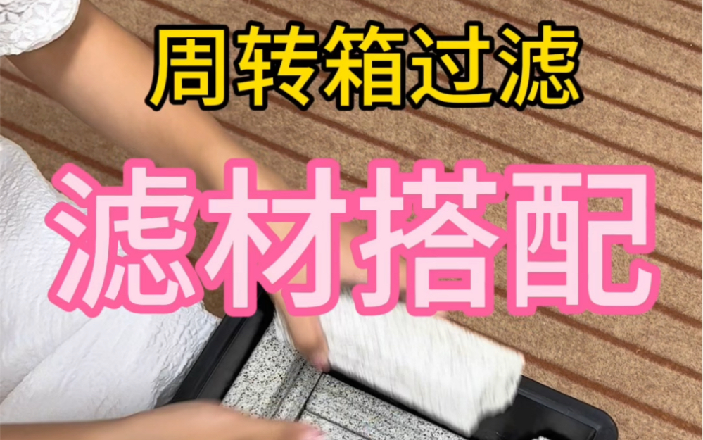 养鱼周转箱过滤滤材如何摆放,滤材搭配最佳方案上线~鱼缸过滤器的滤材摆放顺序技巧,供参考~哔哩哔哩bilibili