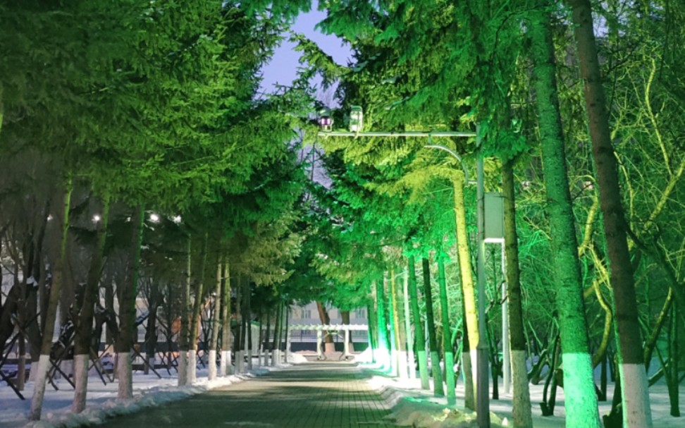 东北师大 冬日校园