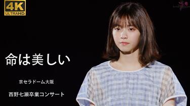 4K60FPS修复】命は美しい @ 京セラドーム大阪 西野七瀬卒業コンサート