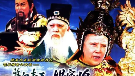 《碧血青天杨家将(国语)》共30集全_哔哩哔哩_bilibili