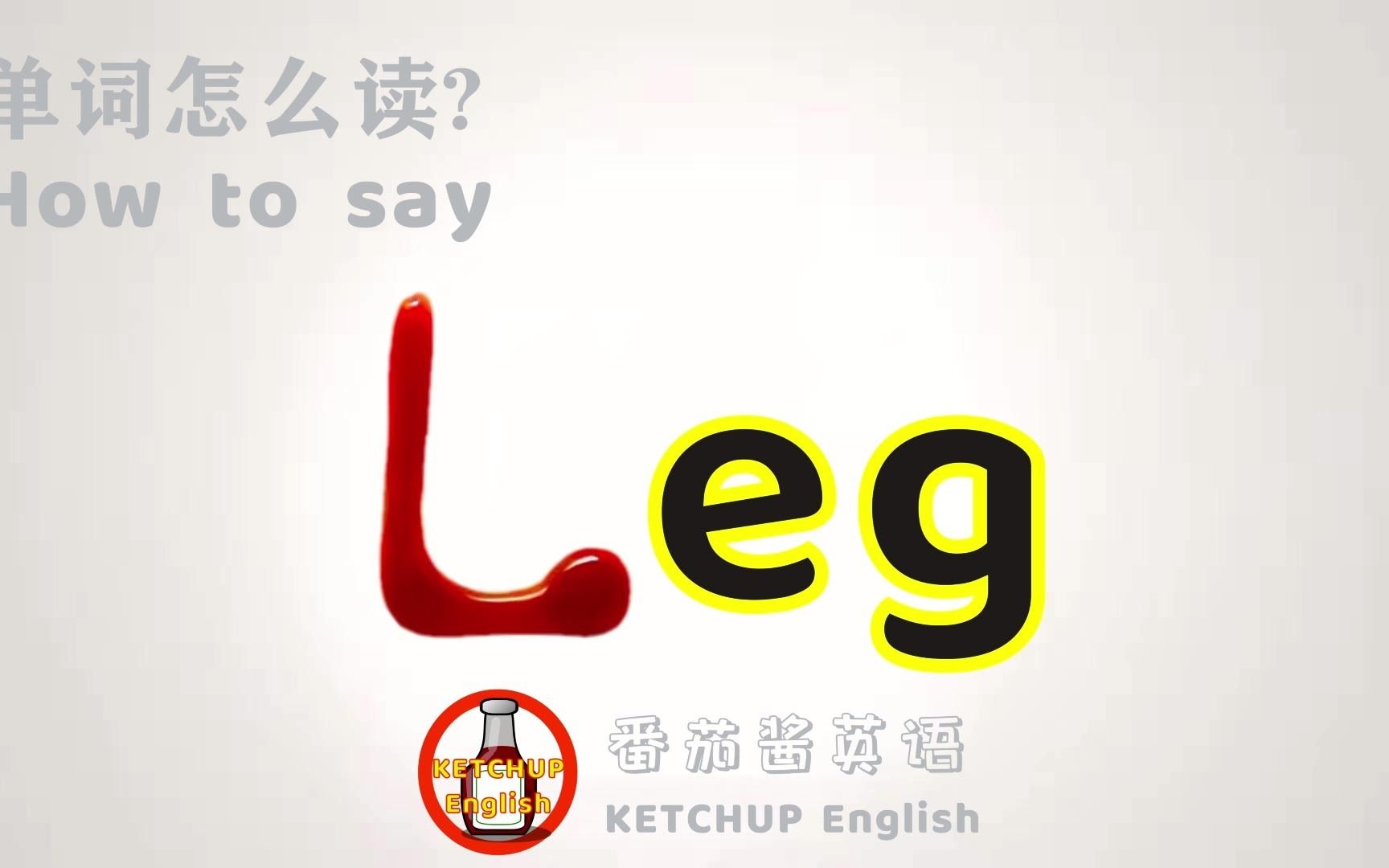 腿英语怎么写图片