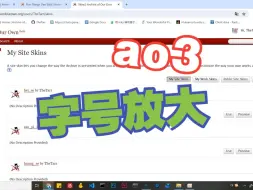 下载视频: ao3 超简单字号放大教程，有手就行