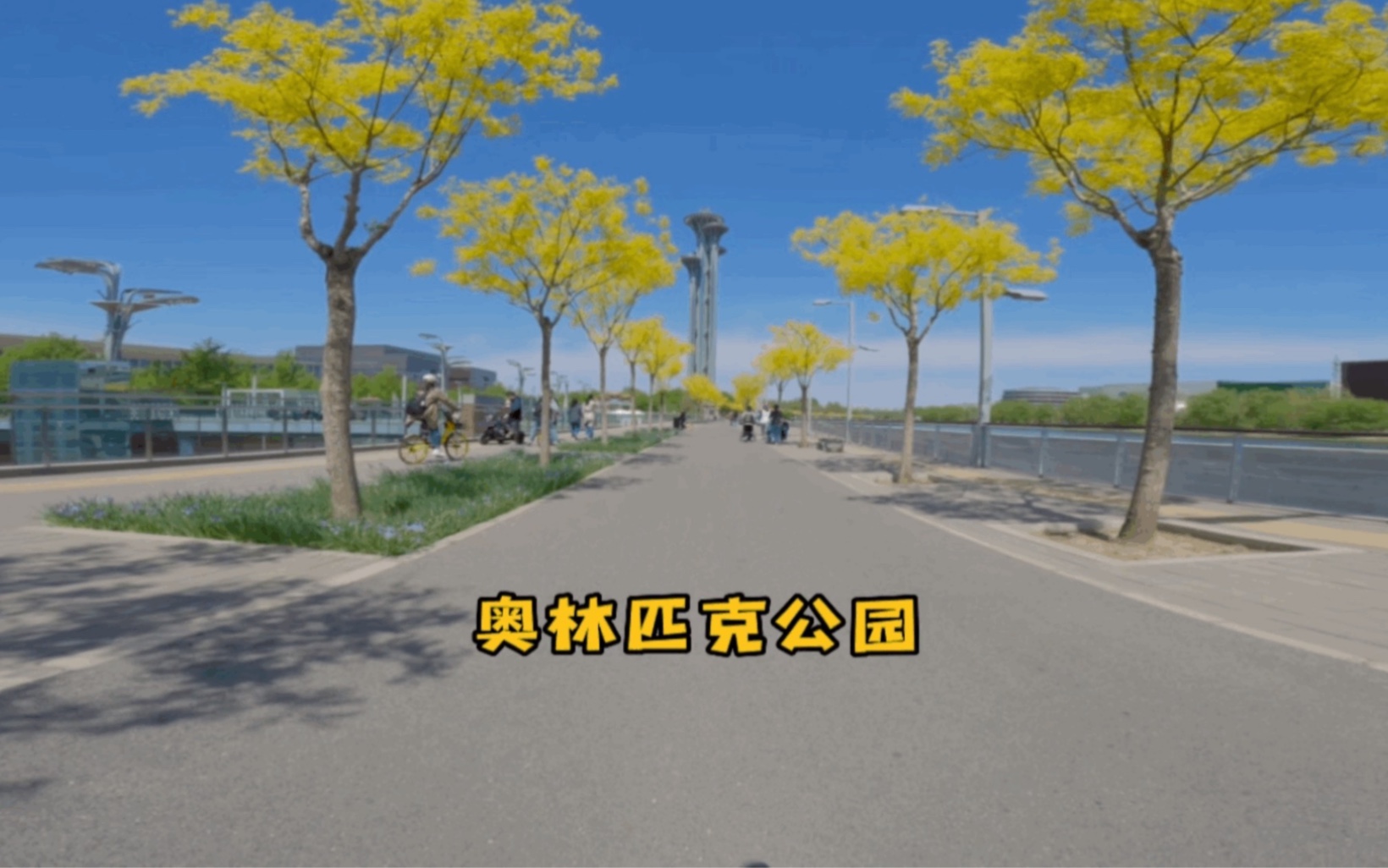 【休闲骑行】奥林匹克公园哔哩哔哩bilibili