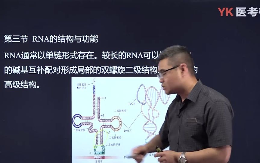 [图]03.RNA的结构与功能