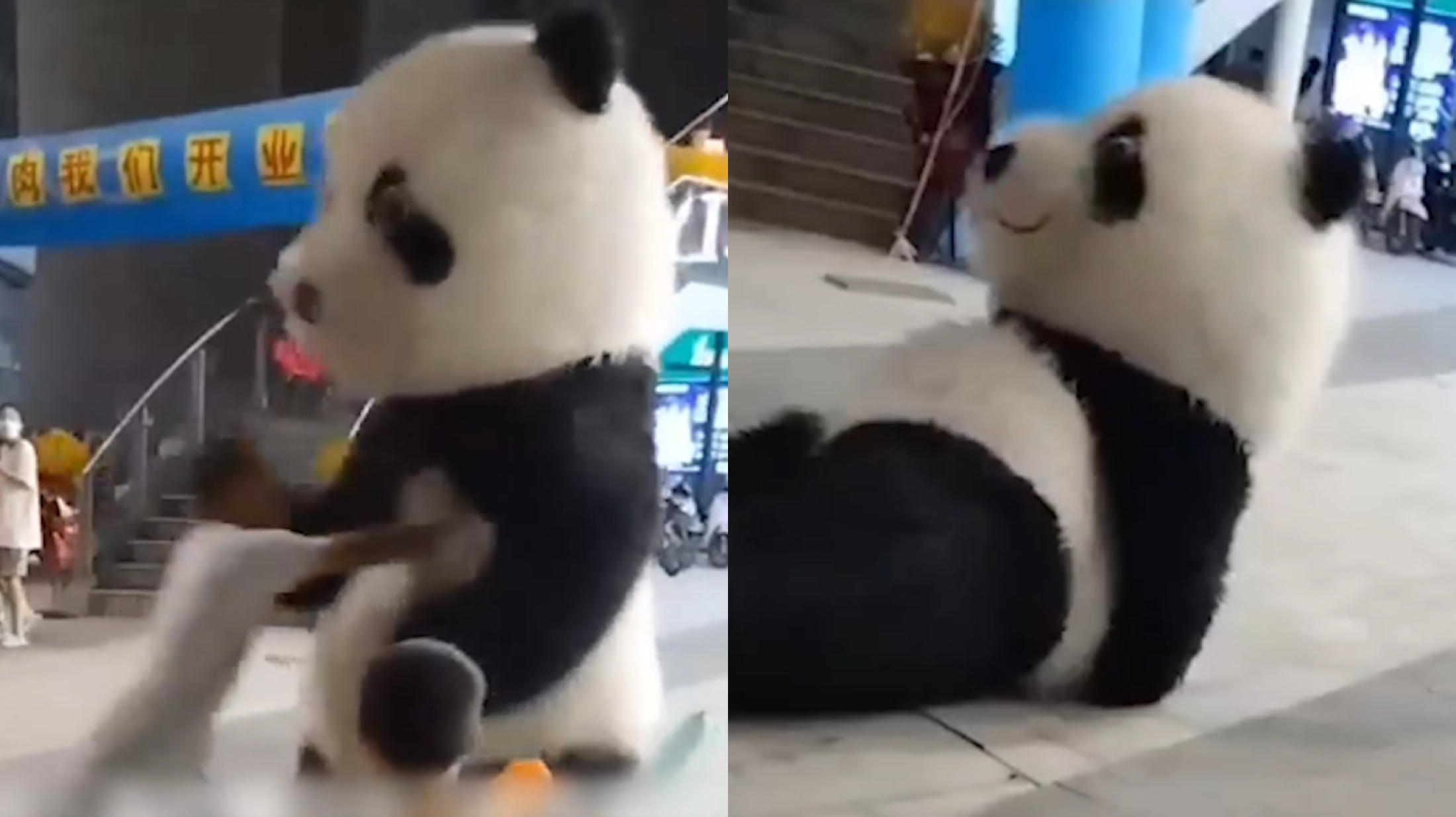 [图]熊猫玩偶工作人员被小朋友围观，2男子却强行将其推倒，现场气愤