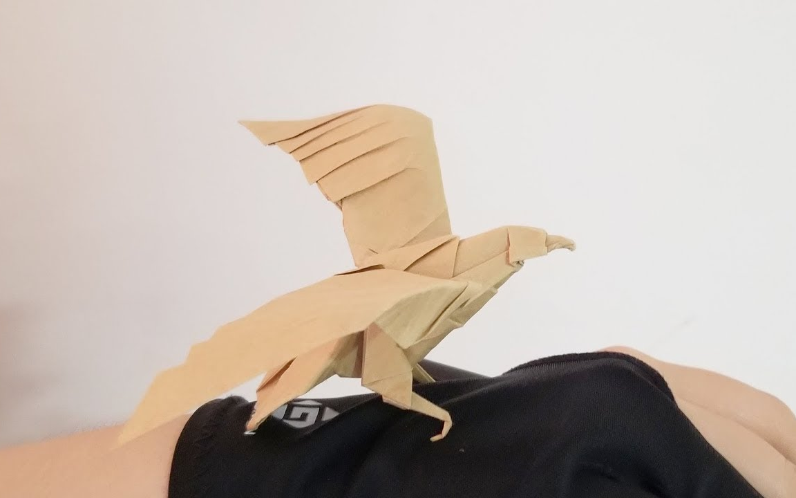 【折纸搬运】鹰 3.0 设计:henry phm 视频制作:henry origami