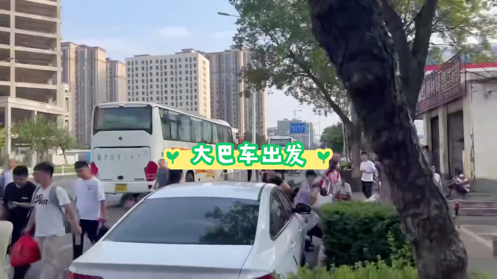 武汉大巴车包车出行,武汉租车哔哩哔哩bilibili