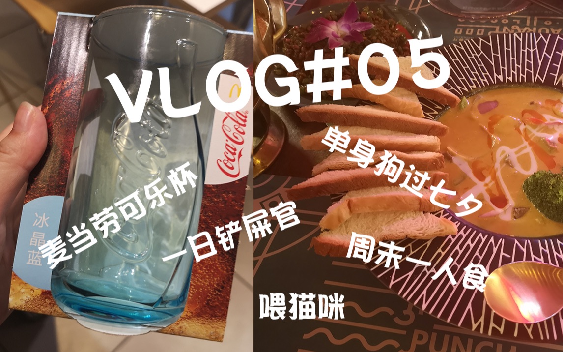vlog#5 单身狗的七夕节 | 一日铲屎官 | 周末一人食～_哔哩哔哩 (゜