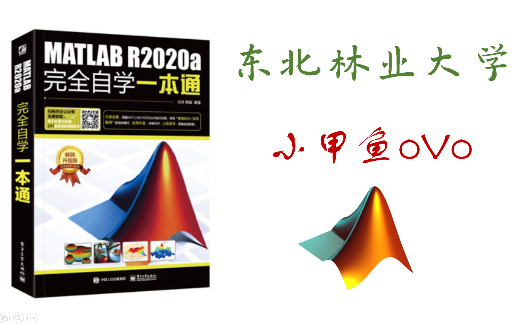 [图]【MATLAB R2020a完全自学一本通】全书系统讲解+仿真分析--小甲鱼oVo出品