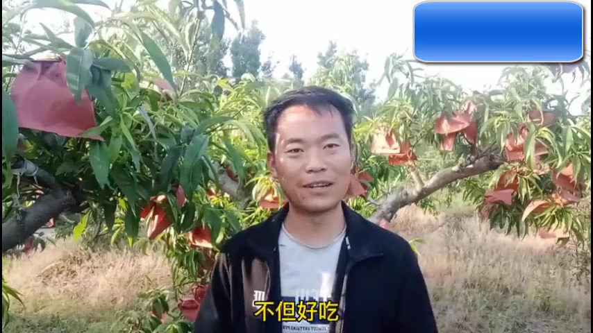 [图]这种野草，现在农村已经很少见了，你认识吗