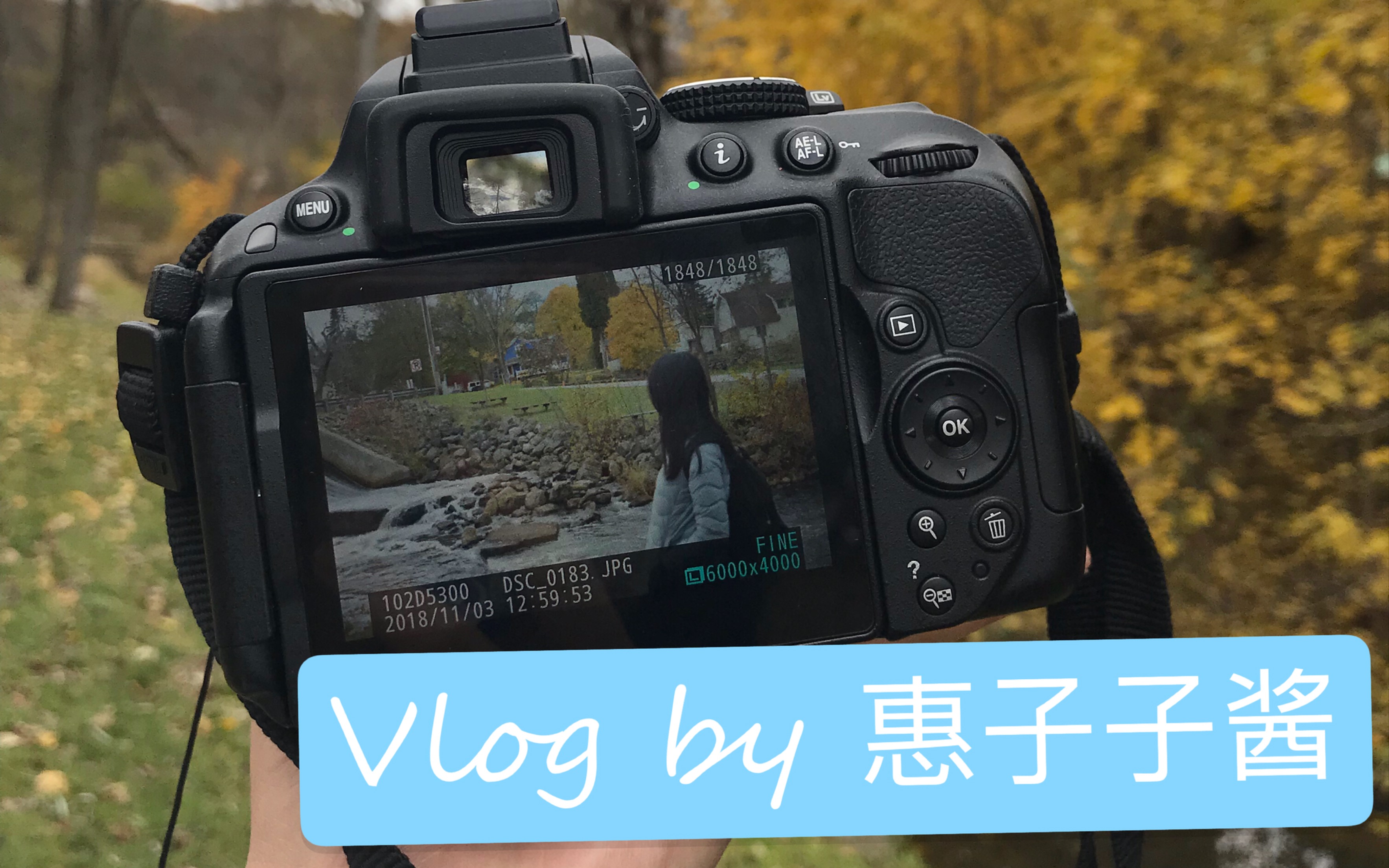 初投稿Vlog 美国密歇根州的周末旅行哔哩哔哩bilibili