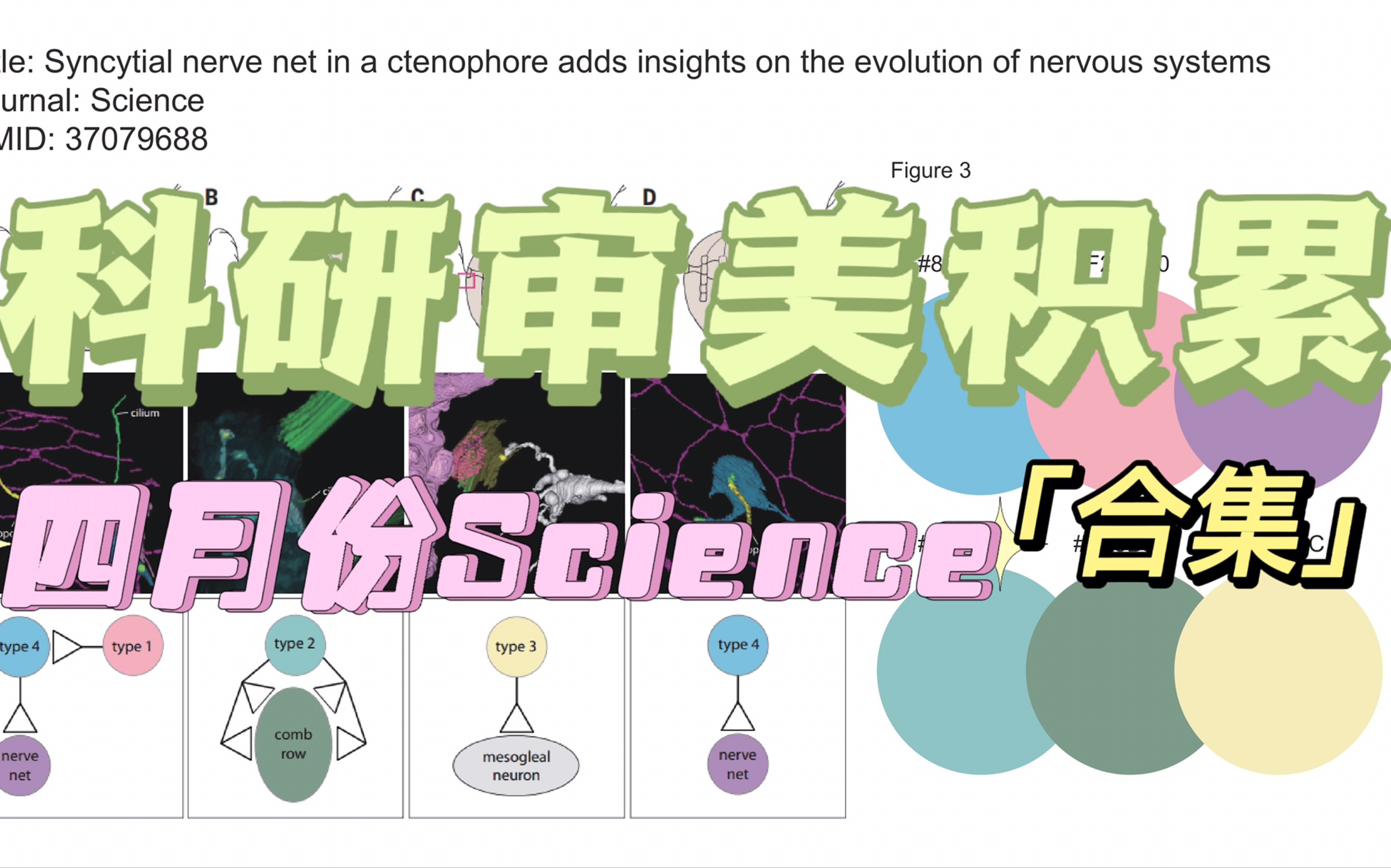 【科研审美积累】Day10 2023.04 Science色板合集哔哩哔哩bilibili