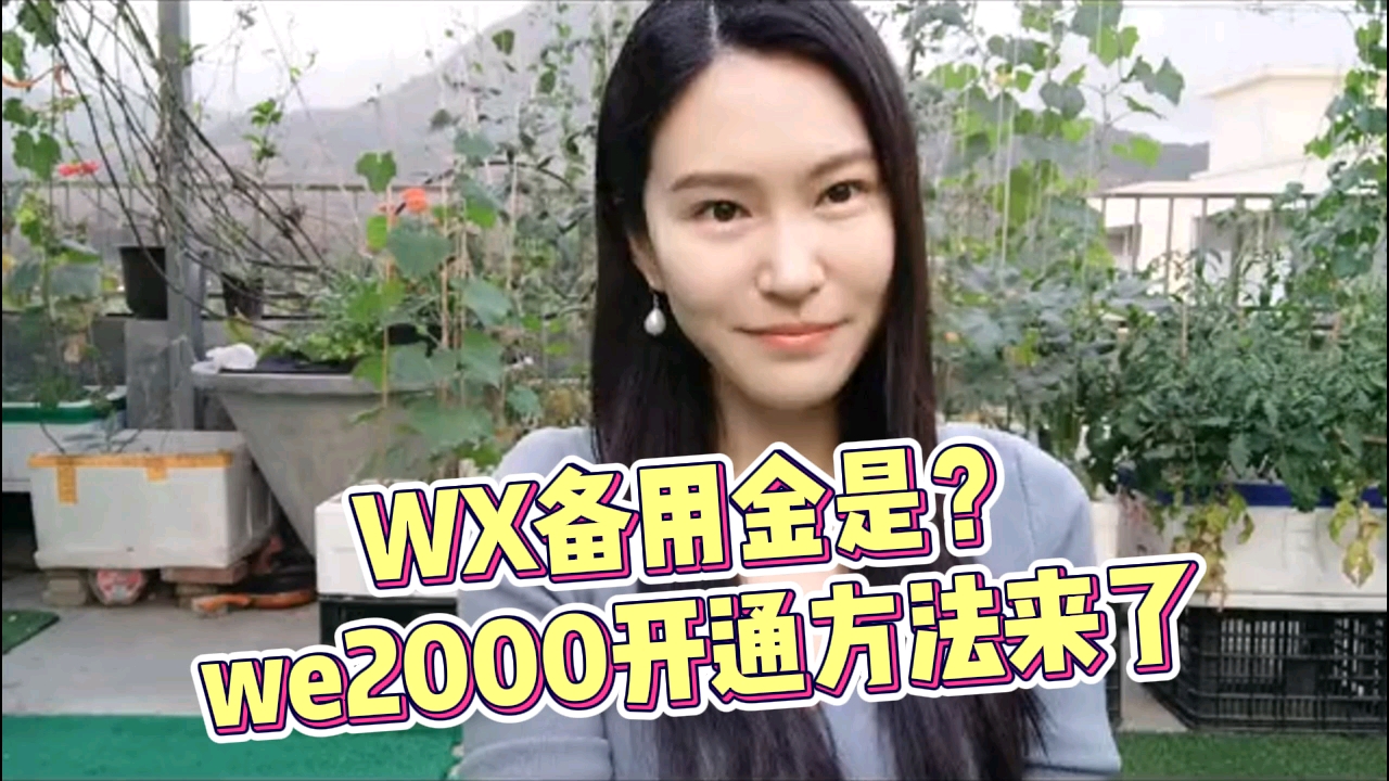 VX备用金是?we2000开通方法来了哔哩哔哩bilibili