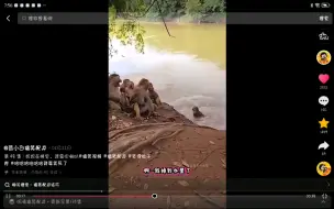 配音君呜哇蹚，臭马楼，妈妈在睡觉，我要吹喇叭，噪音混响