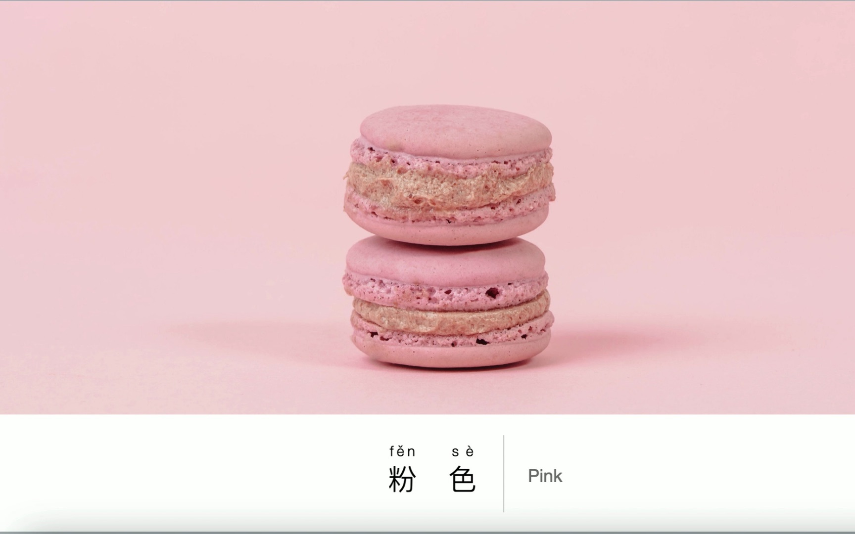 每日识生字,color: pink , 颜色:粉色