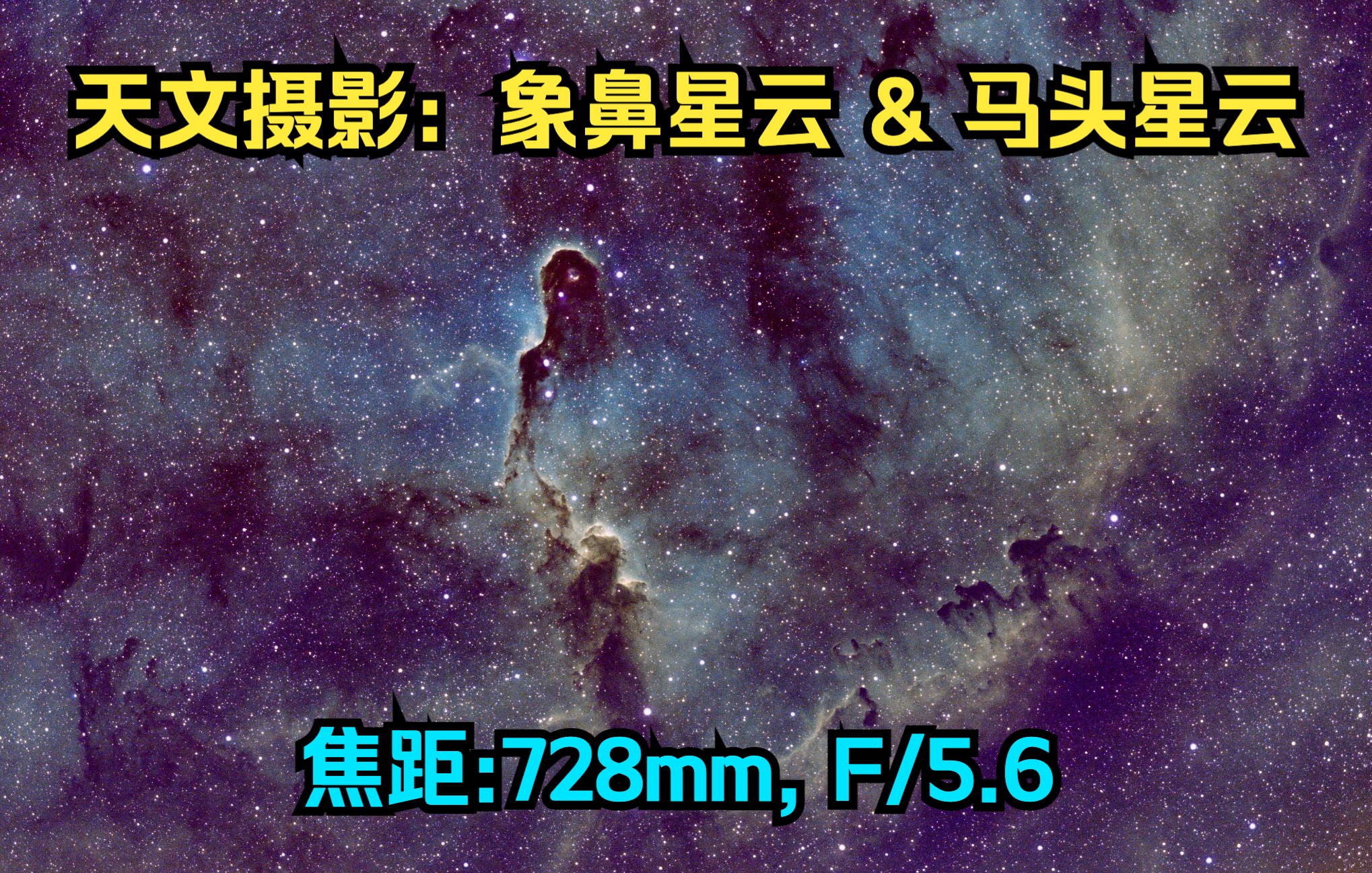 天文摄影:象鼻星云 & 马头星云,焦距728mm【4K】哔哩哔哩bilibili