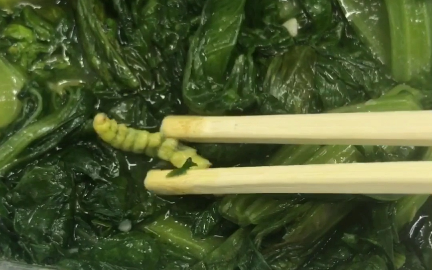 如果点外卖吃到一只大青虫我会怎么样