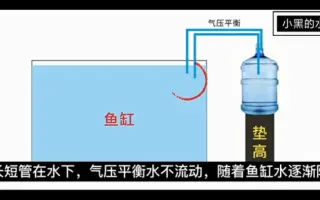 自动给水器 哔哩哔哩 Bilibili