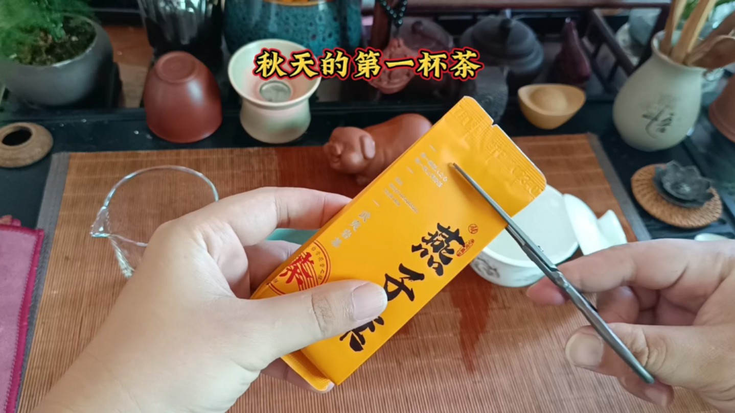 秋天的第一杯茶,入秋了却很热,喝茶补水,干杯