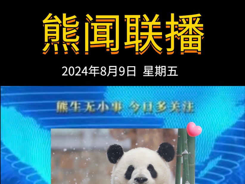 《熊闻联播》|带你了解天下熊事,2024.8.9熊圈又发生了什么?(原视频素材来源网络)哔哩哔哩bilibili