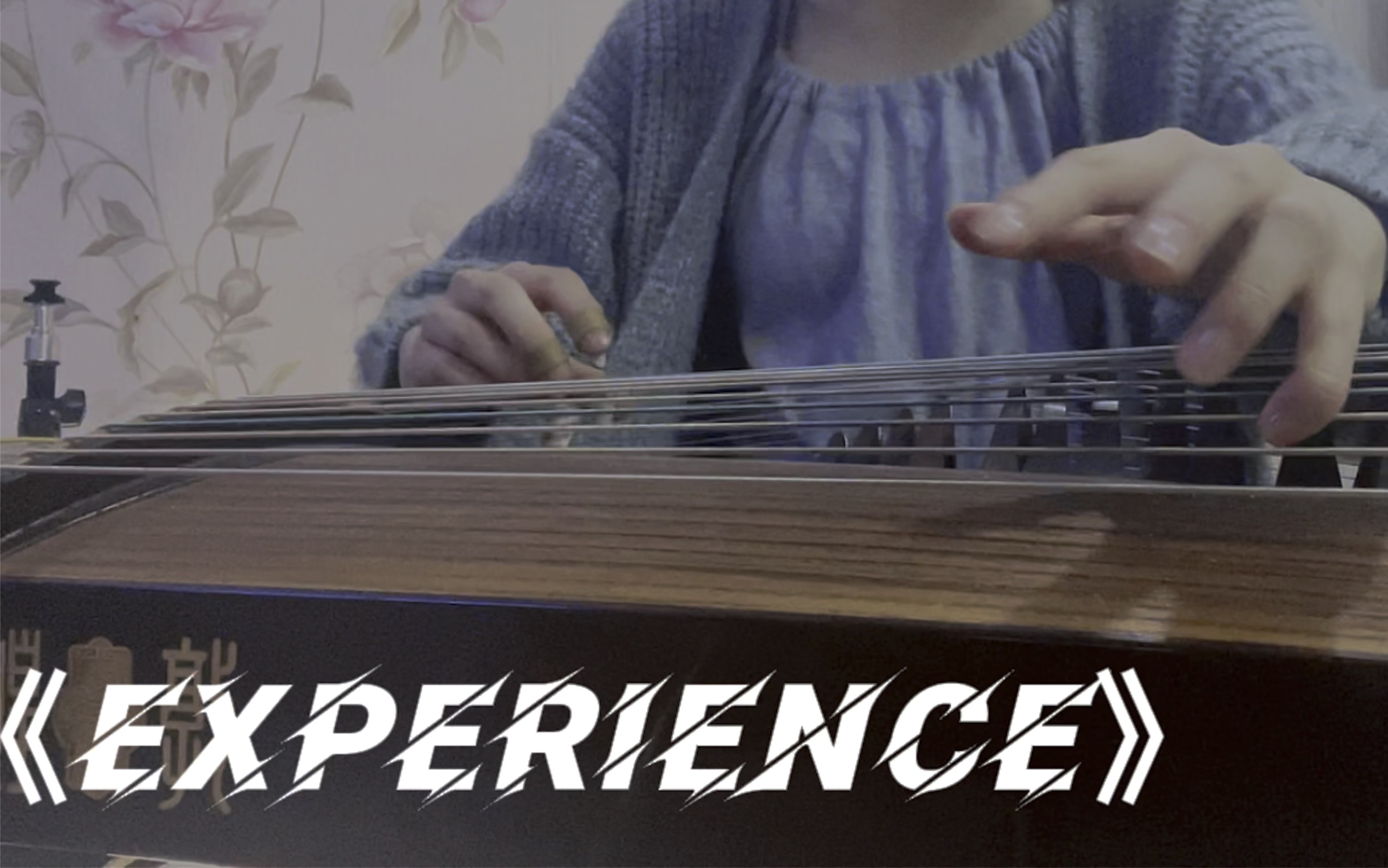 古筝版《experience》 电音快指练起来