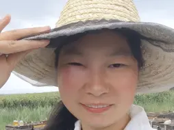 Tải video: 蜜蜂蜇不蜇养蜂人？这下大家都知道了吧