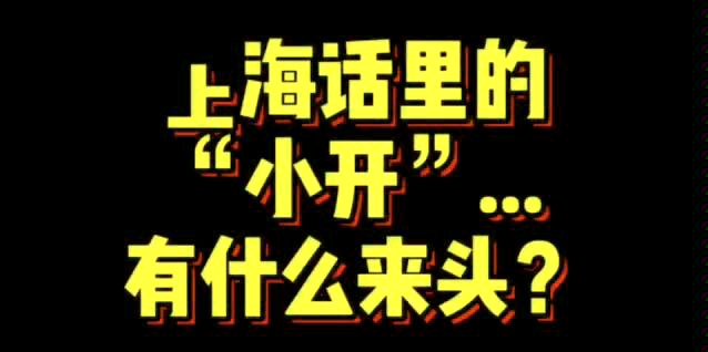 上海话里的“小开”有什么来头?☞五角场场长&Bildarchiv哔哩哔哩bilibili