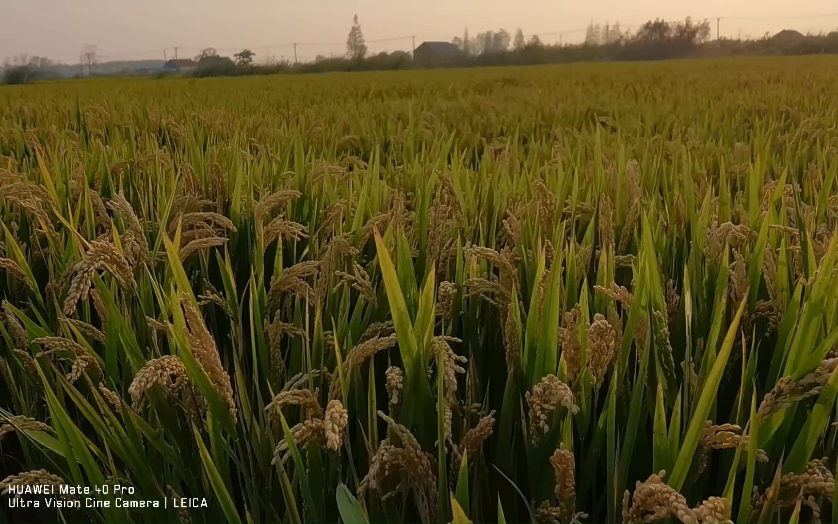 江苏农垦淮海农场 红色教育基地 红旗颂哔哩哔哩bilibili