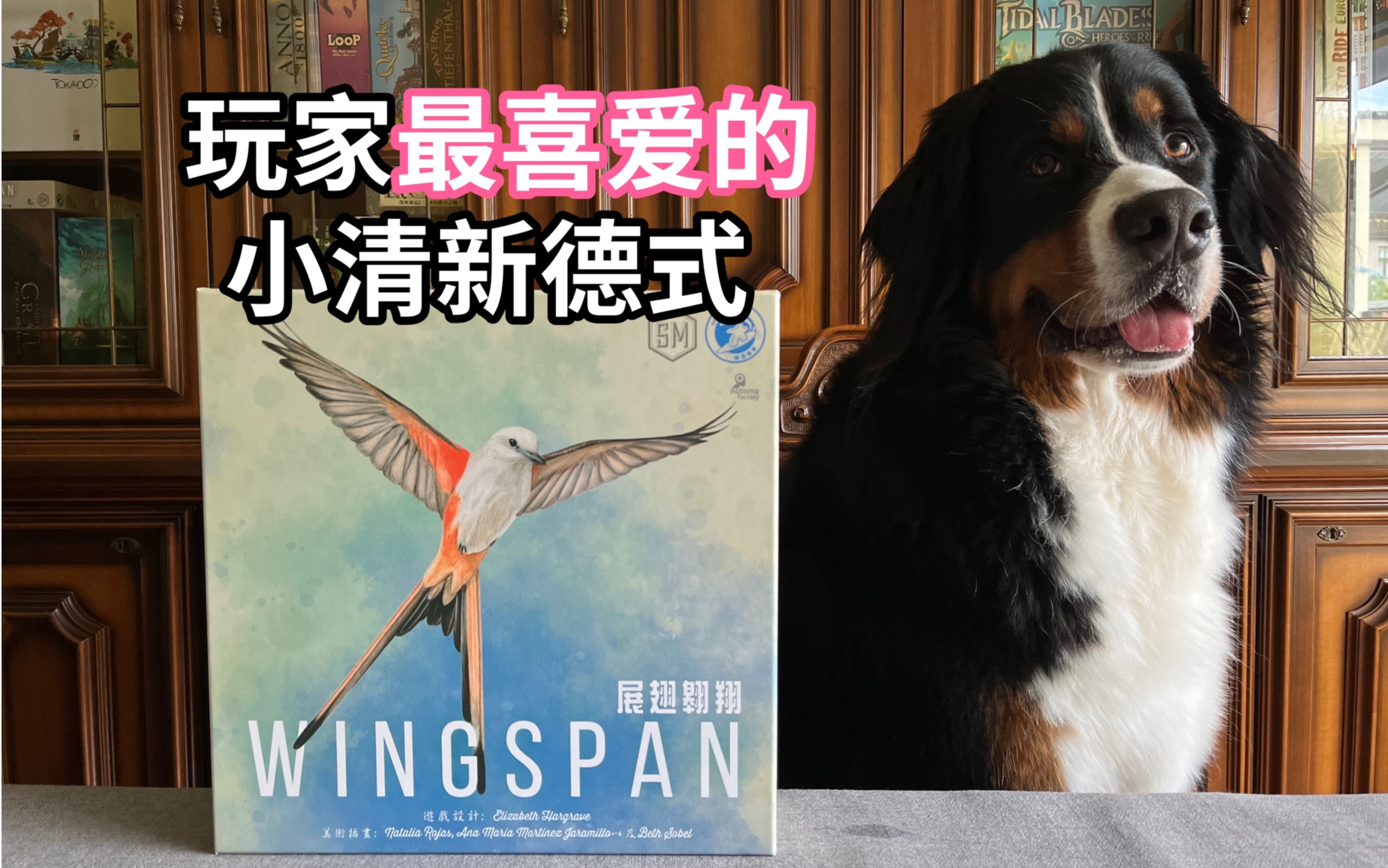 [图]【规则教学】Wingspan《展翅翱翔》颜值和实力都太能打了 玩家评选排名第一！