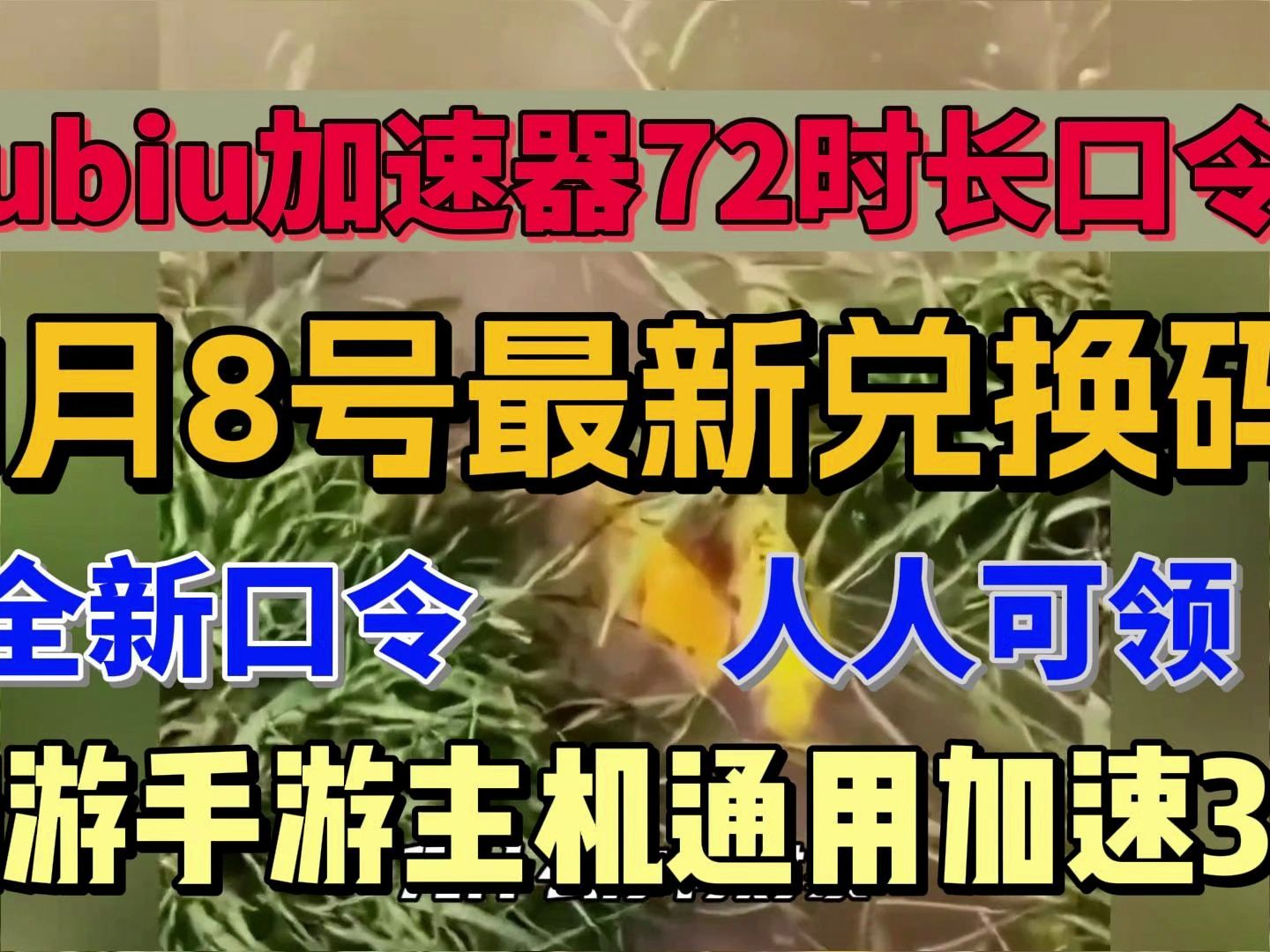 【1月8日】最新免費加速器兌換碼大全,白嫖教程,cdk不