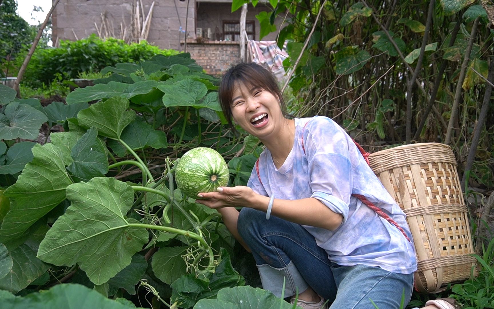 [图]地里农家菜大丰收，翠花挨个新鲜采摘回家做一桌下饭菜，家里好久没这么热闹了，这感觉真好