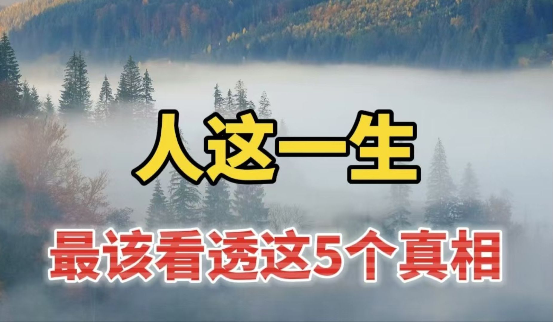 《我的阿勒泰》爆火:人这一生,最该看透这5个真相哔哩哔哩bilibili