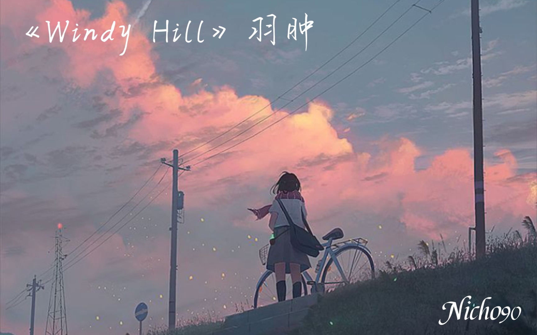 电钢《windy hill》羽肿