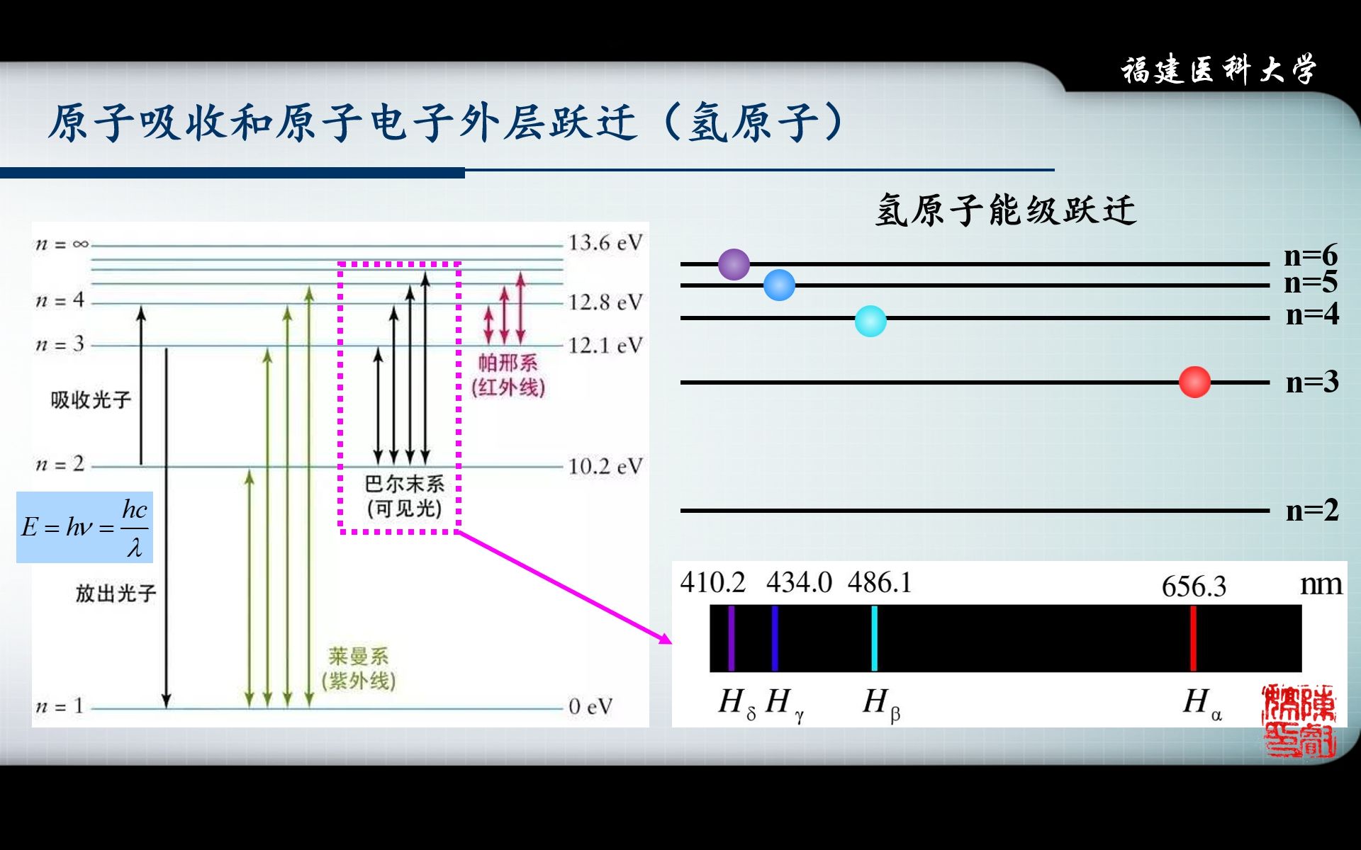 【仪器分析】05原子吸收分光光度法1(发展历程和应用)哔哩哔哩bilibili