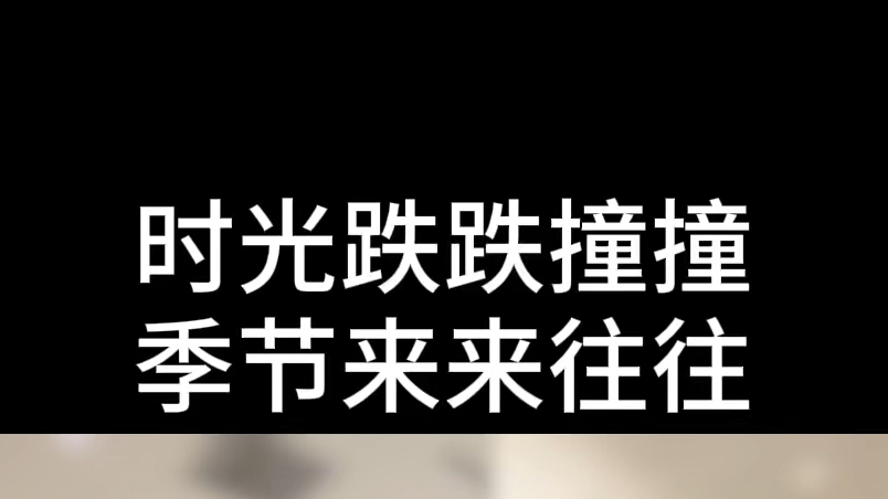 温柔是对世界的态度,坚韧是对自我的坚持,做有意义的事情,向下生根,再向上开花.哔哩哔哩bilibili