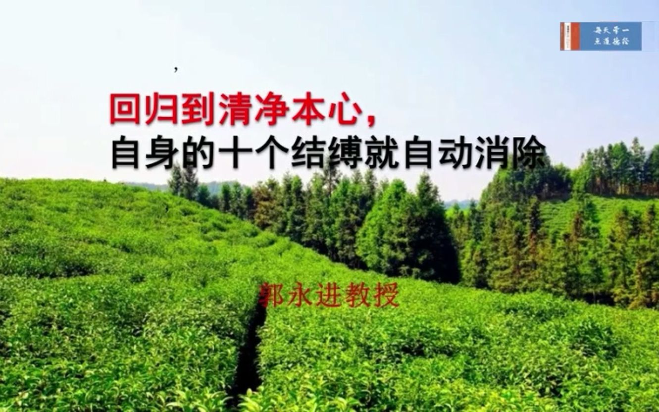 回归到清净本心 自身的十个结缚就自动消除