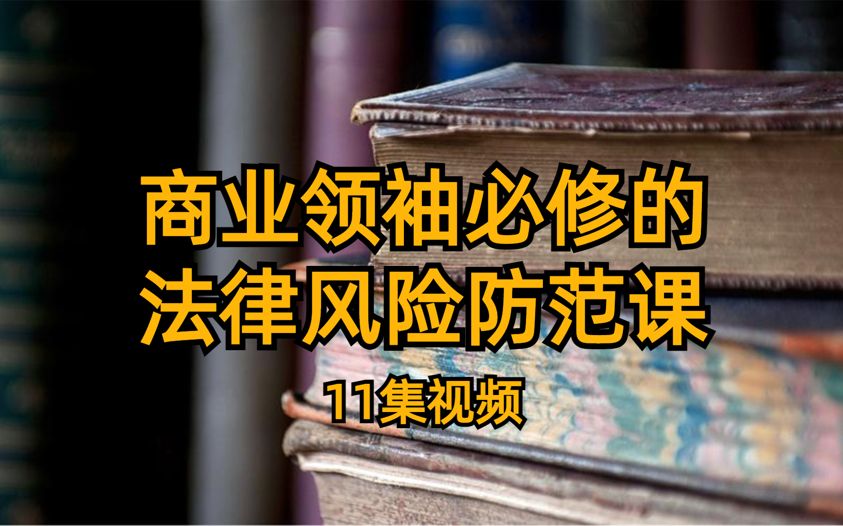 商业领袖必修的法律风险防范课 11集视频 沈志坤哔哩哔哩bilibili