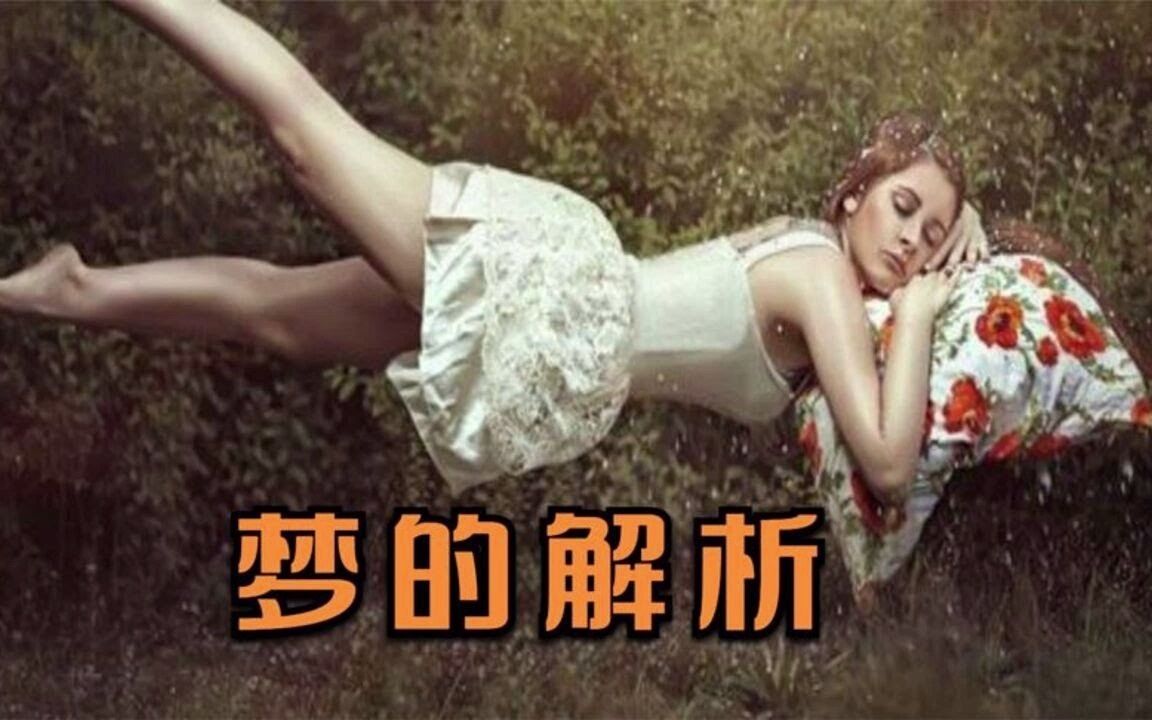 [图]解读书籍《梦的解析》（下）