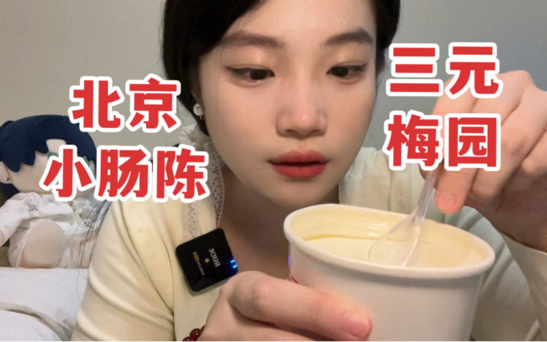 北京vlog来啦!打卡小肠陈卤煮和三元梅园!甜品大踩雷哔哩哔哩bilibili