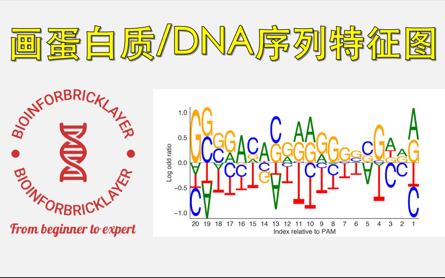 【生信进阶之路|技能篇 04】如何画出漂亮的DNA/蛋白质序列特征图哔哩哔哩bilibili