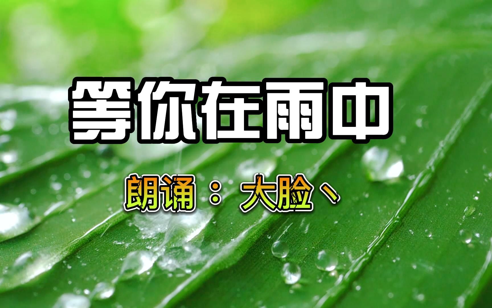 [图]朗诵：等你在雨中